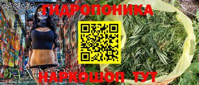 ECSTASY Заволжье