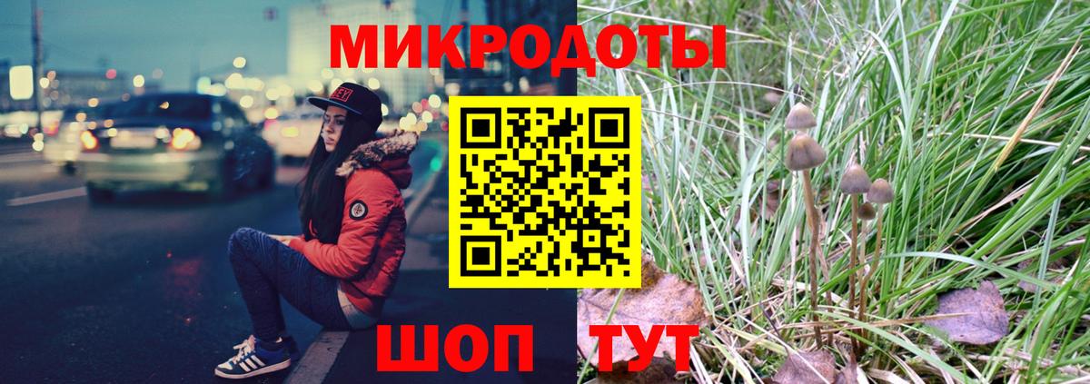Галлюциногенные грибы MAGIC MUSHROOMS  Вход с VPN  Щёкино 